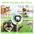 2 - in - 1 Bungee Tug - of - War Dog Toy Se - petazaustralia