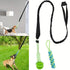 2 - in - 1 Bungee Tug - of - War Dog Toy Se - petazaustralia