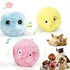 3pcs Chirping Balls Interactive Cat Plush EVA Toy Ball - petazaustralia