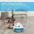 4 - in - 1 Smart Interactive Electronic Kitten Toy - petazaustralia