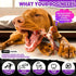 4 - Pack Durable Dog Chew Toys For Aggressive Chewers - petazaustralia