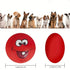 6pcs Fun Interactive Pet Ball Toys - petazaustralia