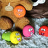 6pcs Fun Interactive Pet Ball Toys - petazaustralia