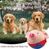 Interactive Plush Dog Toy with Squeaker