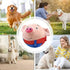 Active Moving Pet Plush Toy - petazaustralia