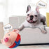 Active Moving Pet Plush Toy - petazaustralia