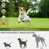 Automatic Dog Ball Launcher - petazaustralia