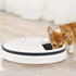 Automatic Pet Dry and Wet Food Dispenser - petazaustralia