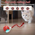 Cat Rolling Ball Bird Chirping Interactive Cats Toys - petazaustralia