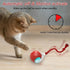 Cat Rolling Ball Bird Chirping Interactive Cats Toys - petazaustralia