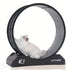 Cat Wheel, Cat Exercise Wheel With Removable Carpeted Runway - petazaustralia