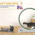 Cat Wheel Running Toy Fitness Exerciser Workout Treadmill Machine Circle Wood AU - petazaustralia