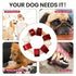 Chew Toy For Aggressive Chewers - petazaustralia