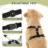 Dog Car Harness Seat Belt Set - petazaustralia