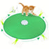 Electronic Undercover Clawing Mouse Moving Cat Toys - petazaustralia