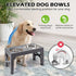 Elevated Dog Bowls with 2 Stainless Steel Dog Food and Water Bowls - petazaustralia