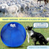 Herding Ball for Dogs - petazaustralia