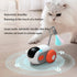 Interactive Cat Chasing Toys - petazaustralia