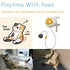 Interactive Cat Teaser Toy - petazaustralia