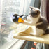 Interactive Cat Toy With Suction Cup Track And Bell Ball - petazaustralia