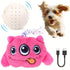 Interactive Dog Toys For Boredom - petazaustralia