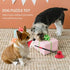 Interactive Dog Toys Tug of War - petazaustralia