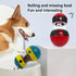 Interactive Dog Treat Dispensing Toy - petazaustralia