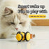 Interactive Pet Toys Bee Car For Indoor Cats Runs Fast On The Carpe - petazaustralia