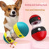 Interactive Slow Feeder Dog Toy - petazaustralia