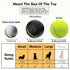 Large Size Pet Smart Bouncing Ball - petazaustralia