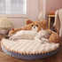 Memory Foam Cat Sofa Bed with Cotton Filling - petazaustralia