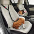 Pet Car Seatbelts - petazaustralia