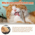 Pet Paw Balm Foot Care for Cats Dogs Protection Pads Moisturising Treatment AU - petazaustralia