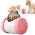 Pet Toy Tumbler Puzzle Slow Food Leaky Ball - petazaustralia