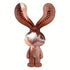 Rabbit - Shaped Chew Toy for Dogs - petazaustralia