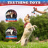 Red Blue Mixed Color Dog Chew Toys - petazaustralia