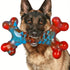 Red Blue Mixed Color Dog Chew Toys - petazaustralia