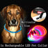 USB Rechargeable LED Dog Collar Glow Flashing Light Up Safety Pet Collar Nigh