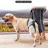 Dog Rear Legs Support Strap Lift Harness For Back Leg Hip Disabled Joint Injury