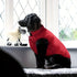 Small Extra Warm Fleece Lining Dog Hoodie - petazaustralia