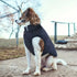 Small Extra Warm Fleece Lining Dog Hoodie - petazaustralia