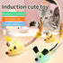 USB Rechargeable Electric Cat Toy - petazaustralia