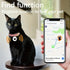 Wireless Pet Tracker Collar for Dogs & Cats - Anti - Lost - petazaustralia