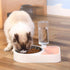 Dog Cat Food Bowl and Automatic Water Dispenser - petazaustralia