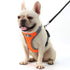Dog Harness Vest Adjustable Reflective Breathable Mesh Orange - petazaustralia